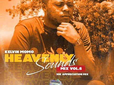 Kelvin Momo Heavenly Sounds Mix Vol. 6